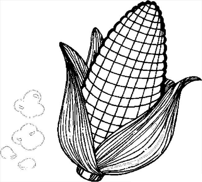 dibujo maiz gordo para colorear