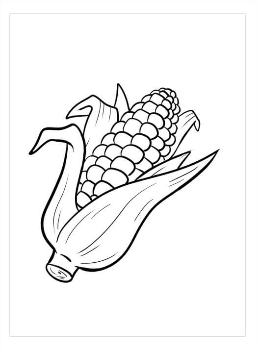 dibujo maiz perfecto para colorear