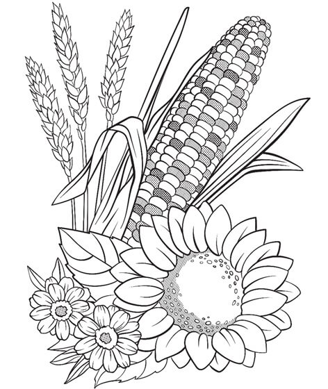 dibujo maiz y flor para colorear
