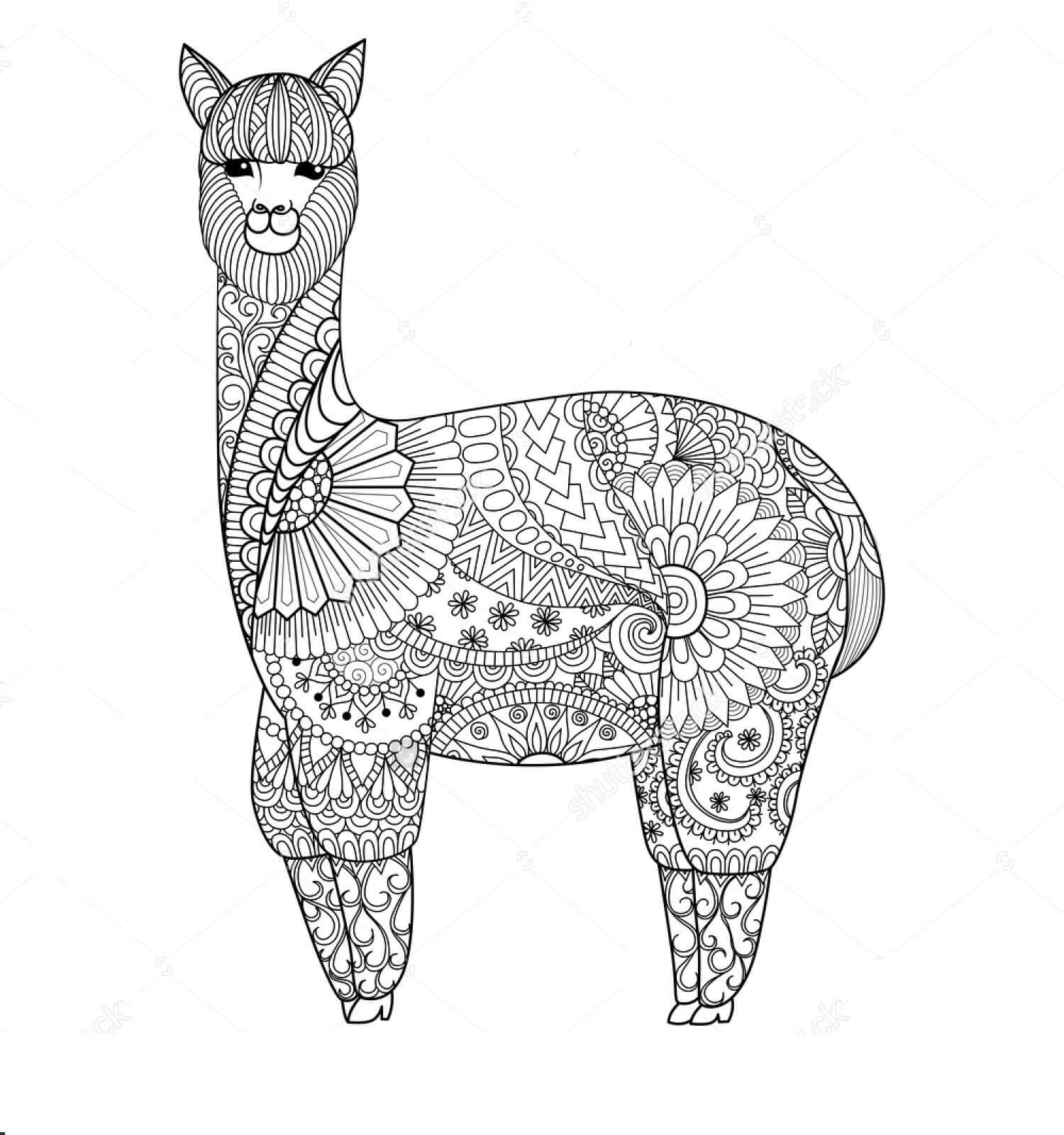 Dibujo de Mándala Linda Llama para Colorear y Imprimir