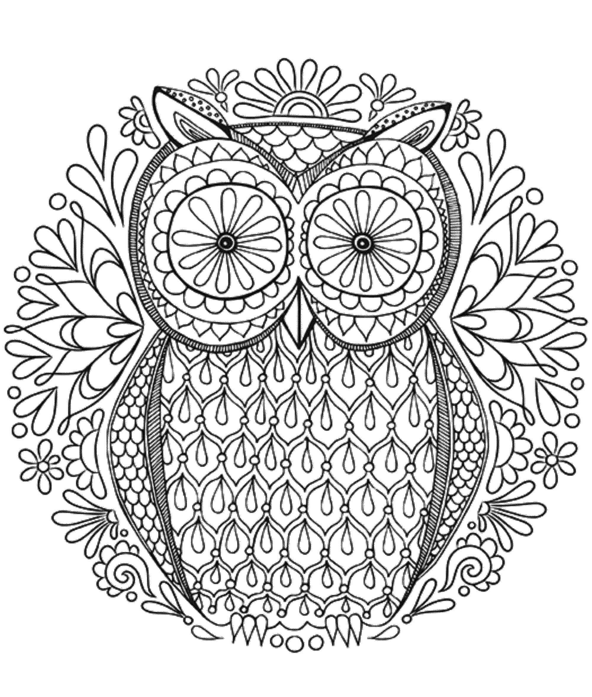 Dibujo de Mandalas Búho para Colorear y Imprimir
