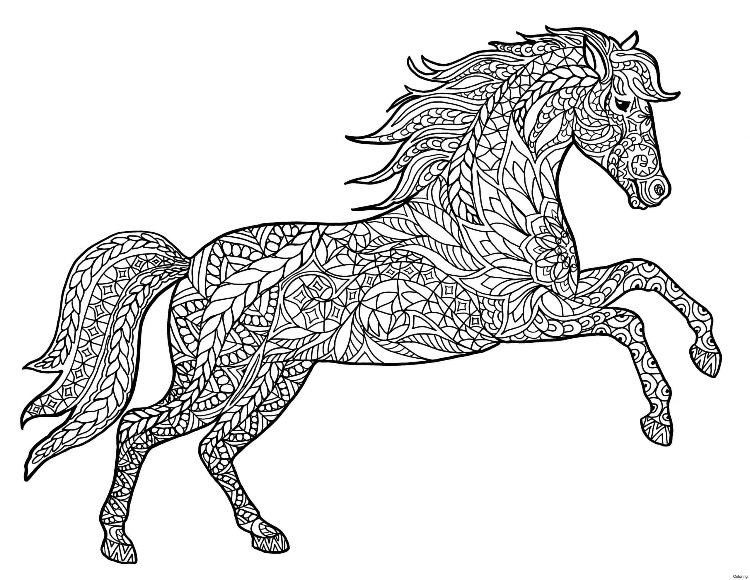 Dibujo de Salto de Caballo para Colorear y Imprimir