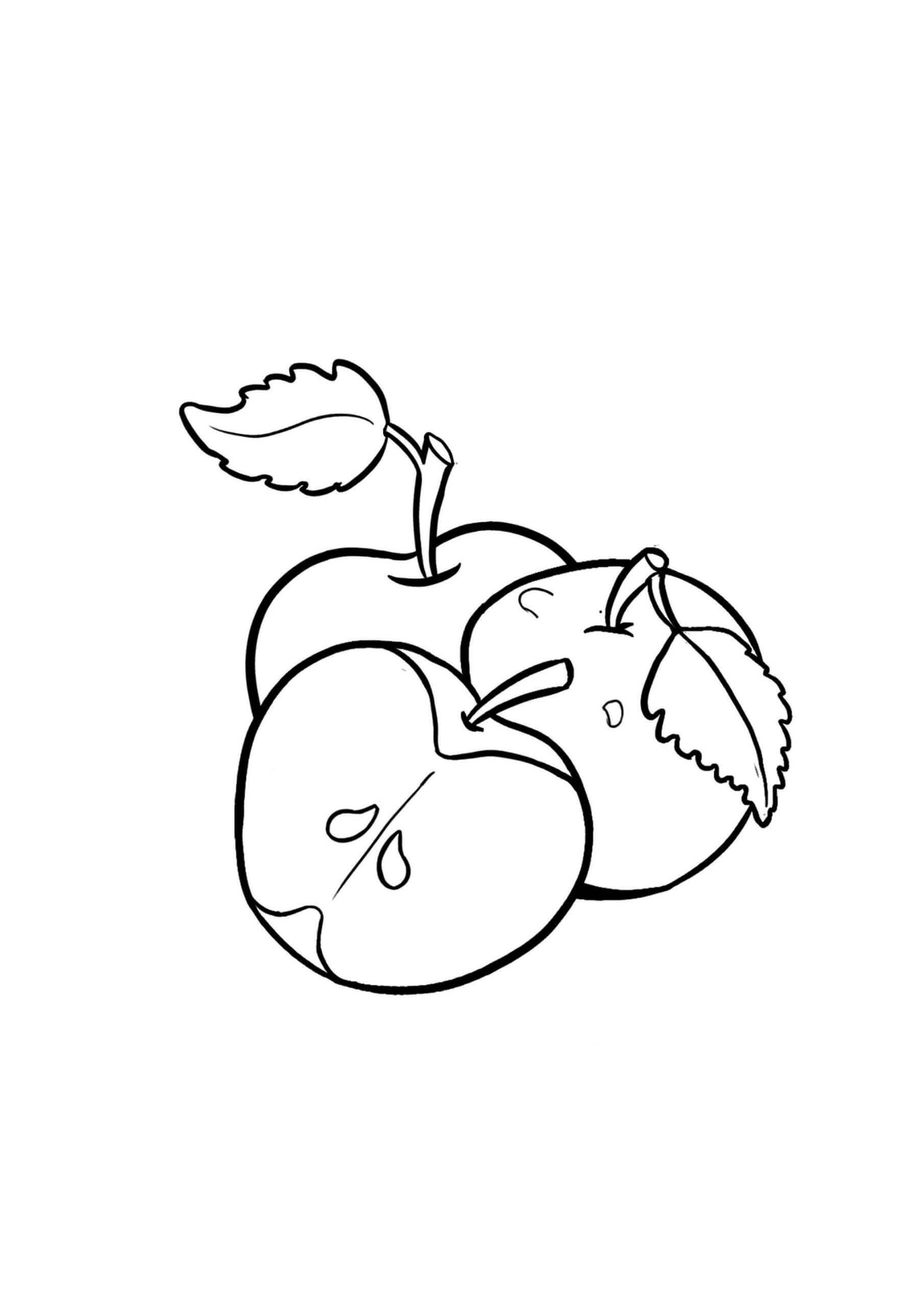 dibujo dos manzanas con rodajas de manzana para colorear