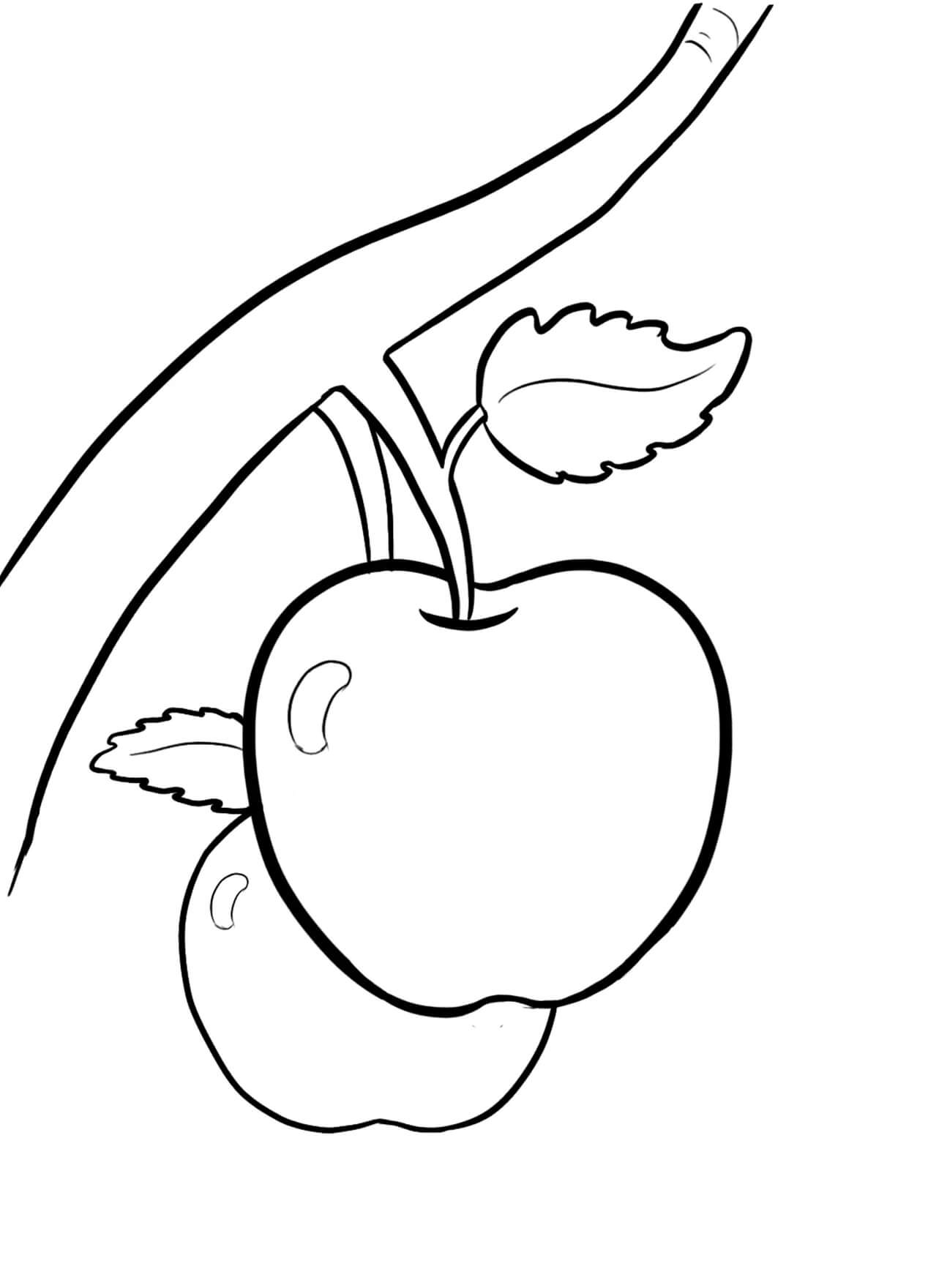 dibujo dos manzanas en el arbol para colorear