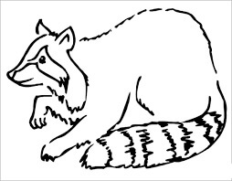 Dibujo de Dibujo de Mapache para Colorear y Imprimir