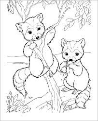 Dibujo de dos Lindo Mapache En Rama de Árbol para Colorear y Imprimir