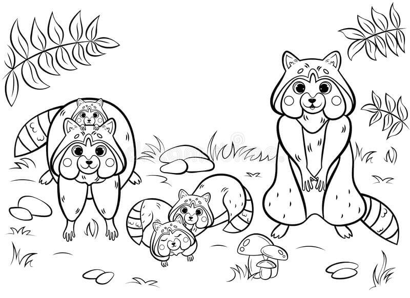 Dibujo de Lindo Mapache Familiar para Colorear y Imprimir