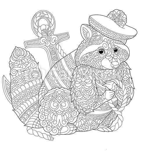 Dibujo de Mapache Adulto para Colorear y Imprimir