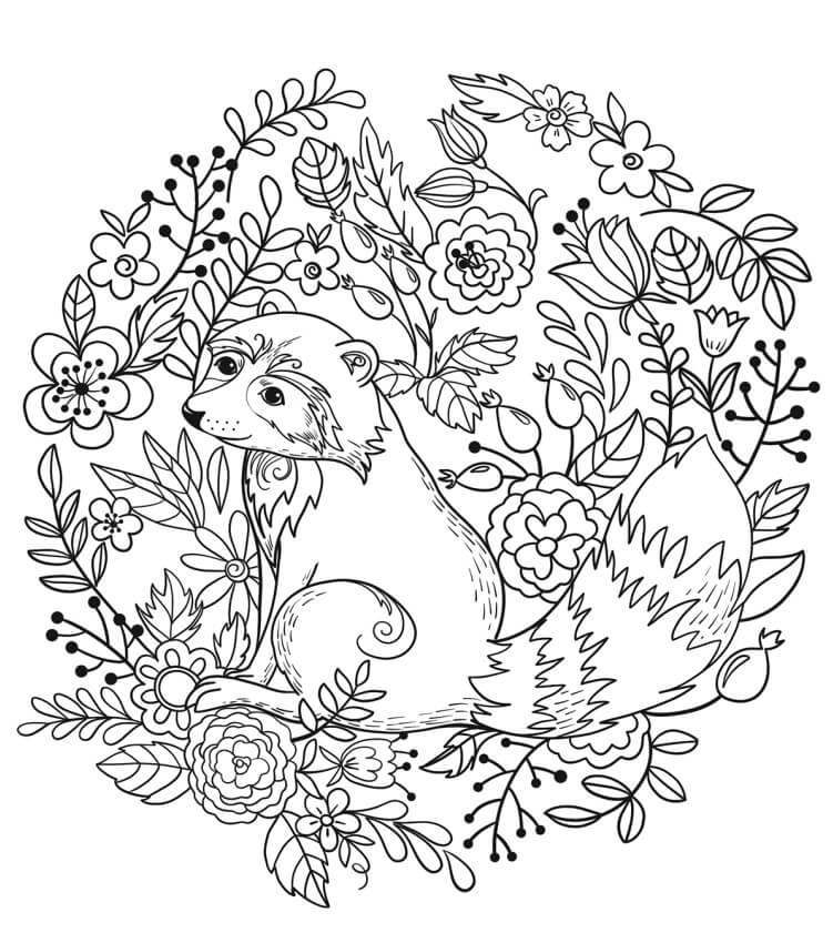 Dibujo de Mapache Con Flor para Colorear y Imprimir