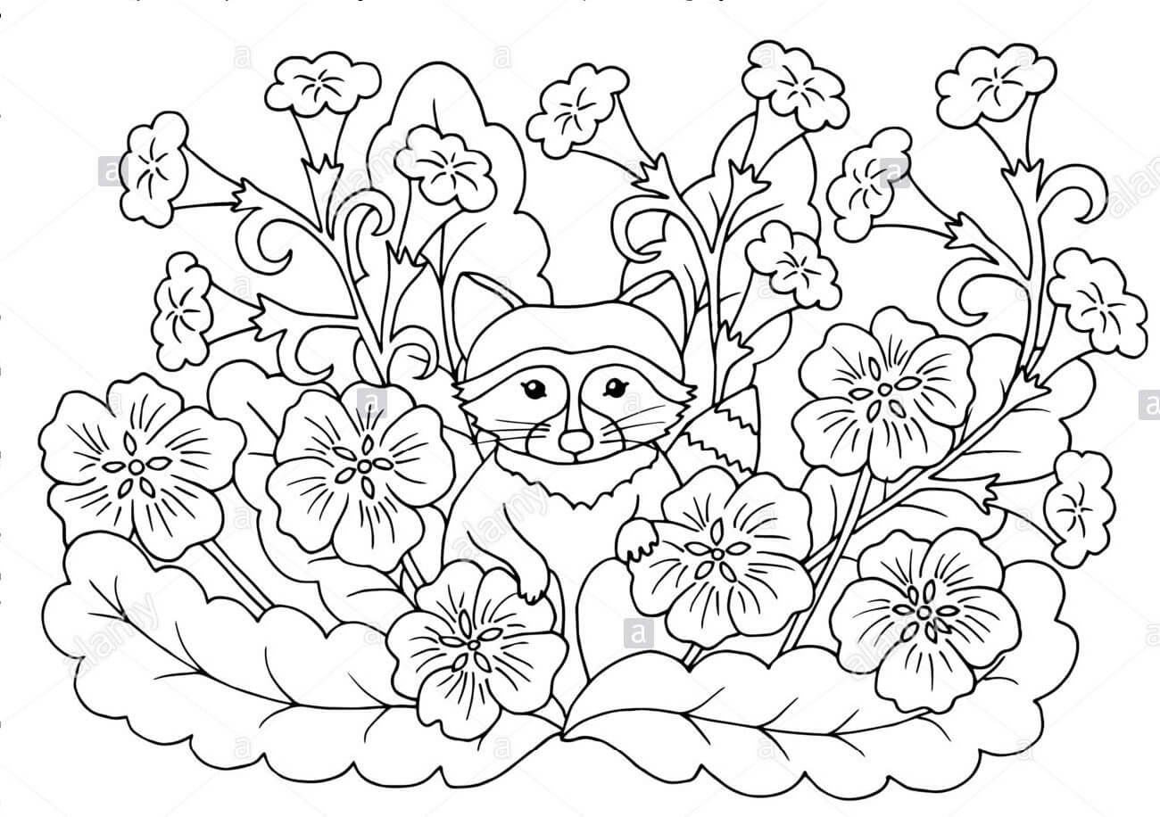Dibujo de Mapache Con Hoja para Colorear y Imprimir