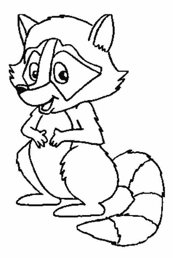 Dibujo de Mapache Divertido para Colorear y Imprimir