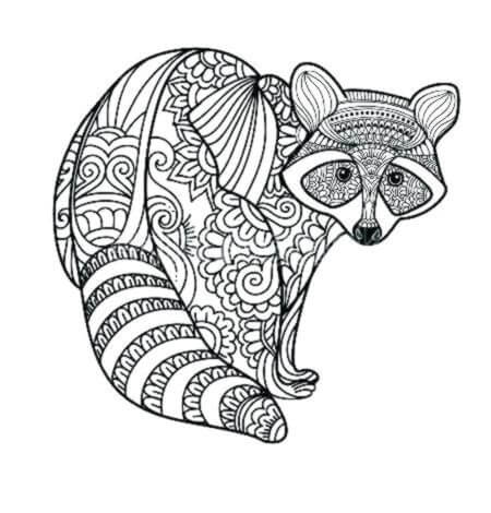 Dibujo de Mapache Duro para Colorear y Imprimir