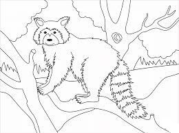 Dibujo de Mapache Normal para Colorear y Imprimir