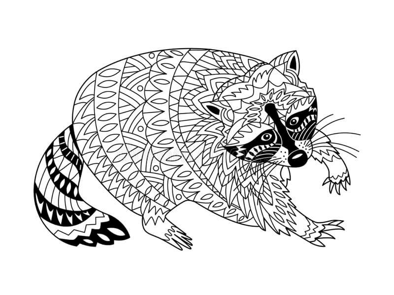 Dibujo de Mapache para Adulto para Colorear y Imprimir