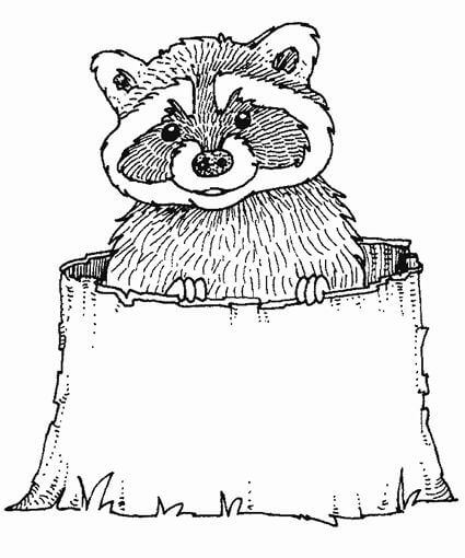 Dibujo de Mapache Sonriente para Colorear y Imprimir