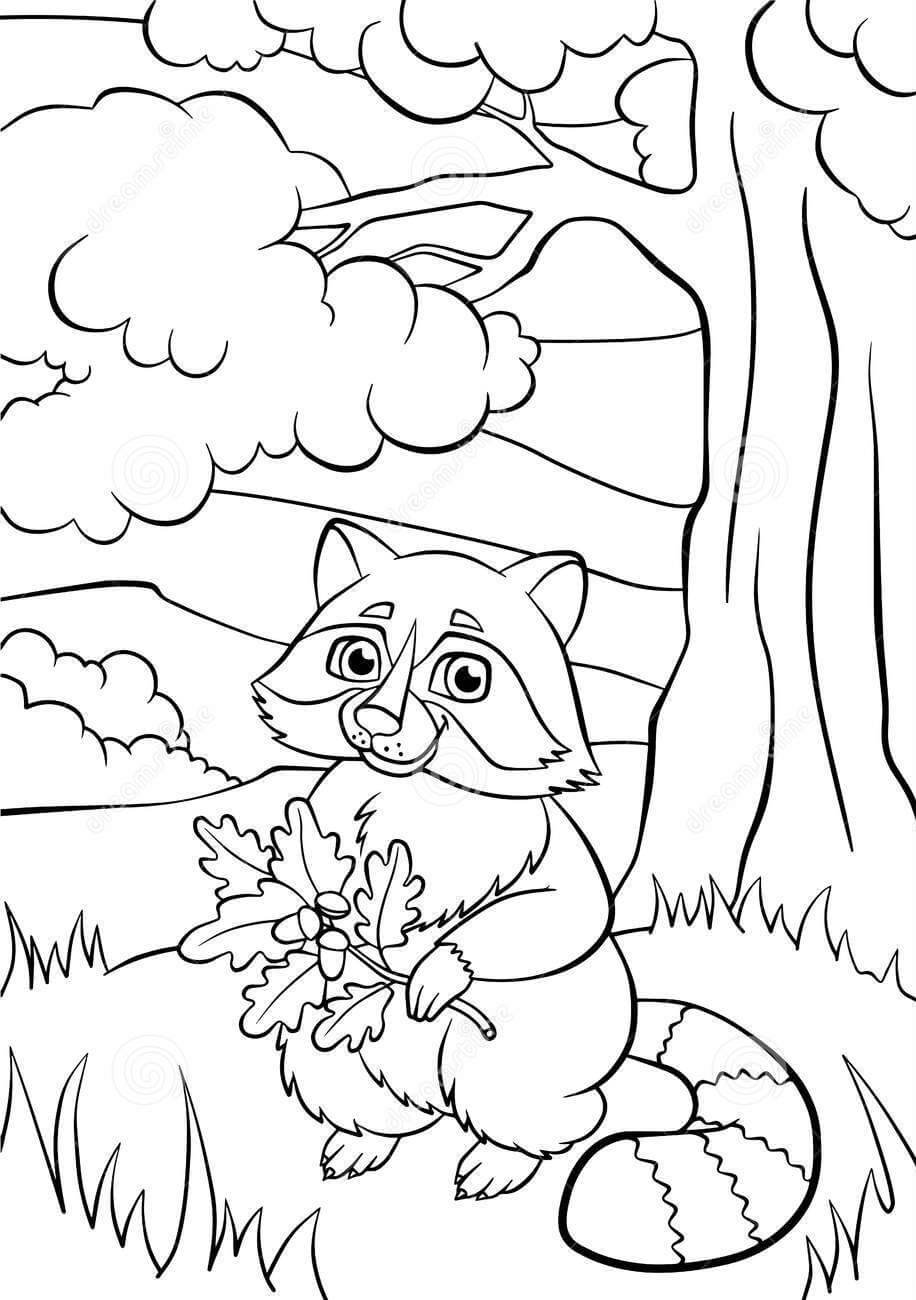 Mapache para Colorear