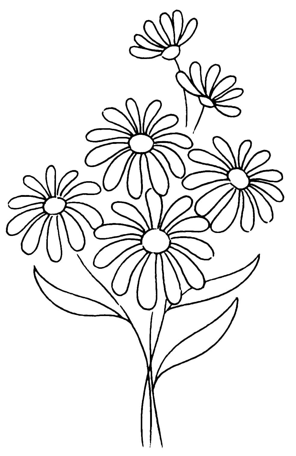 Dibujo de Bonita Flor de Margarita para Colorear y Imprimir