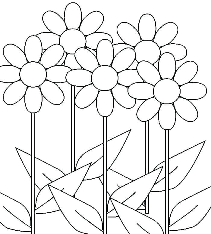 Dibujo de Cinco Margarita para Colorear y Imprimir