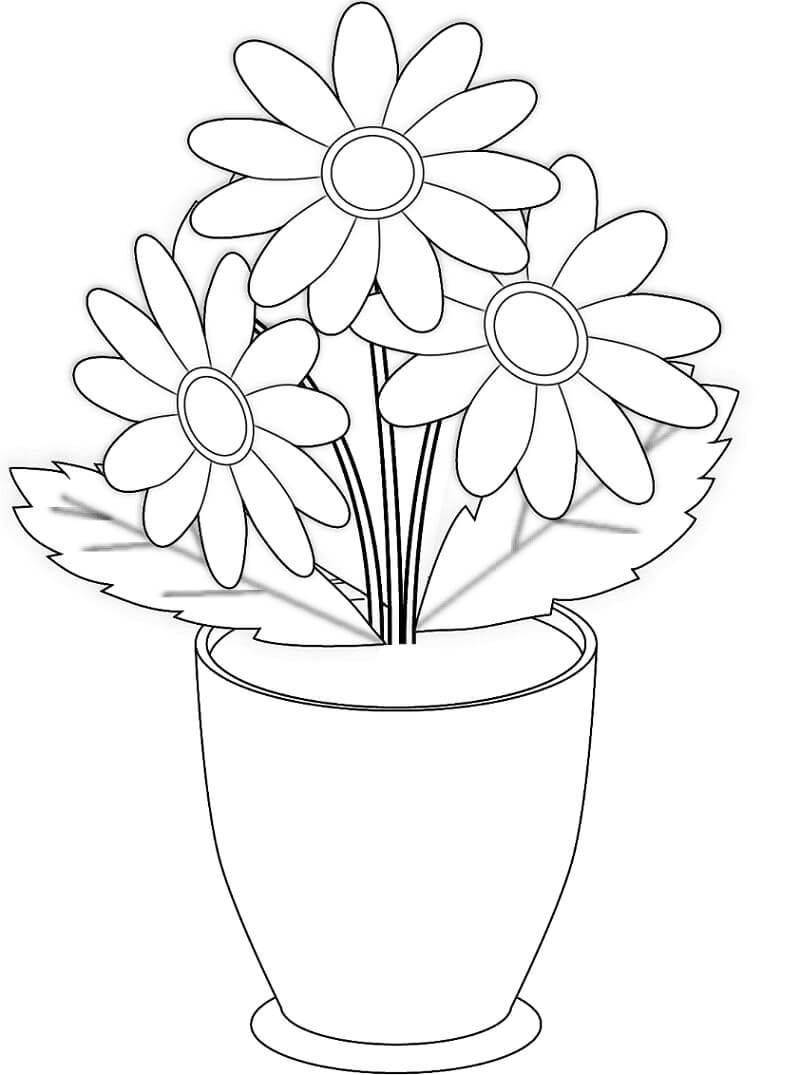 Dibujo de Florero de Crisantemo para Colorear y Imprimir