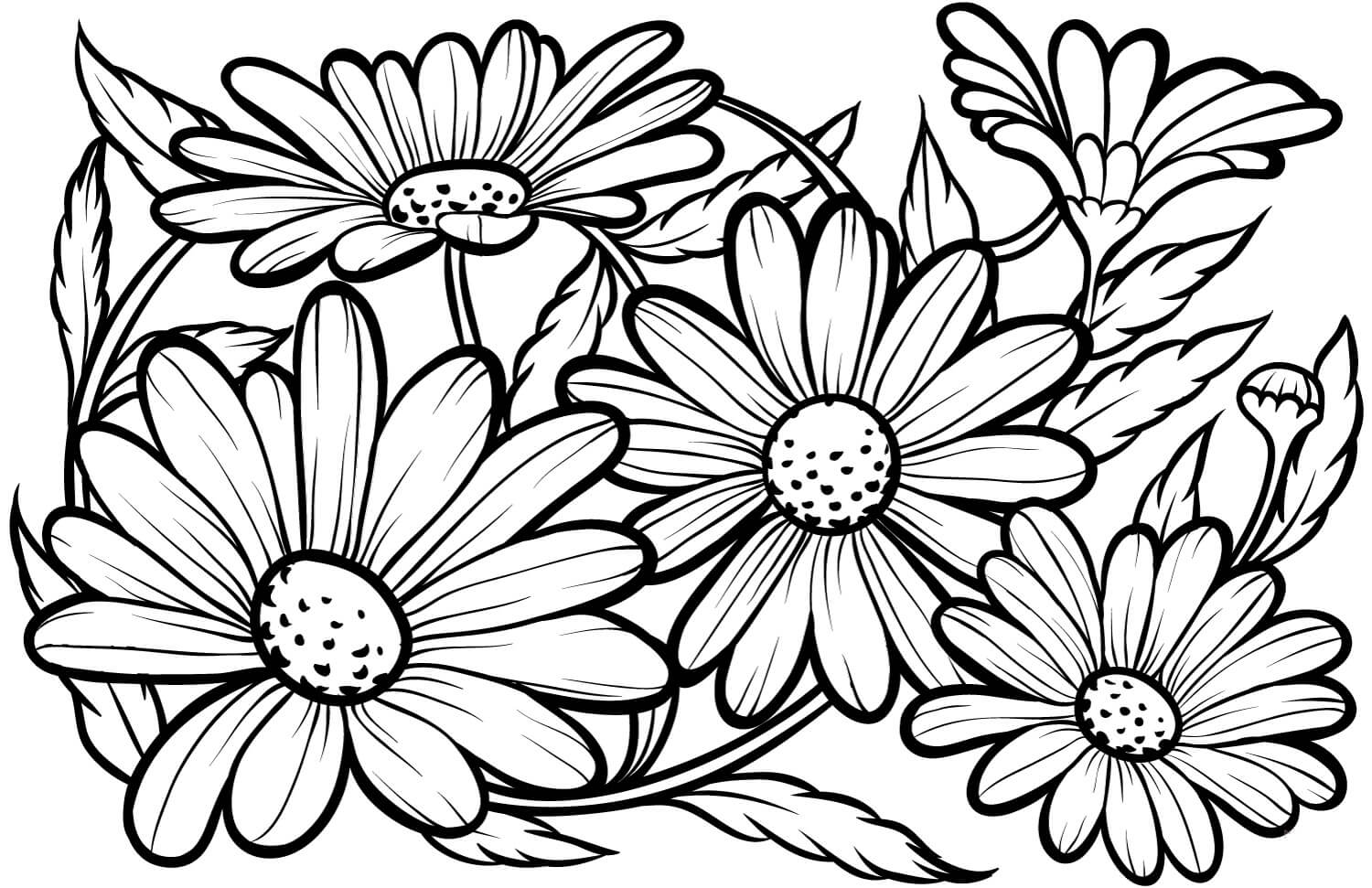 Dibujo de Hermosa Margarita para Colorear y Imprimir