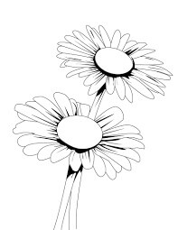Dibujo de Manojo de Margaritas para Colorear y Imprimir