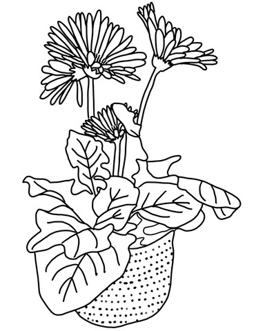 Dibujo de Margarita Gerbera para Colorear y Imprimir