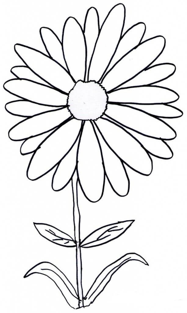 Dibujo de Margarita Impresionante para Colorear y Imprimir