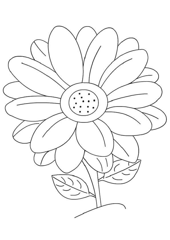 Dibujo de Margarita para Colorear y Imprimir