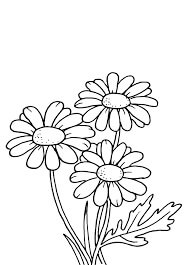 Dibujo de Margarita Simple y Dulce para Colorear y Imprimir