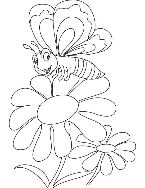 Dibujo de Mariposa Con Margarita para Colorear y Imprimir