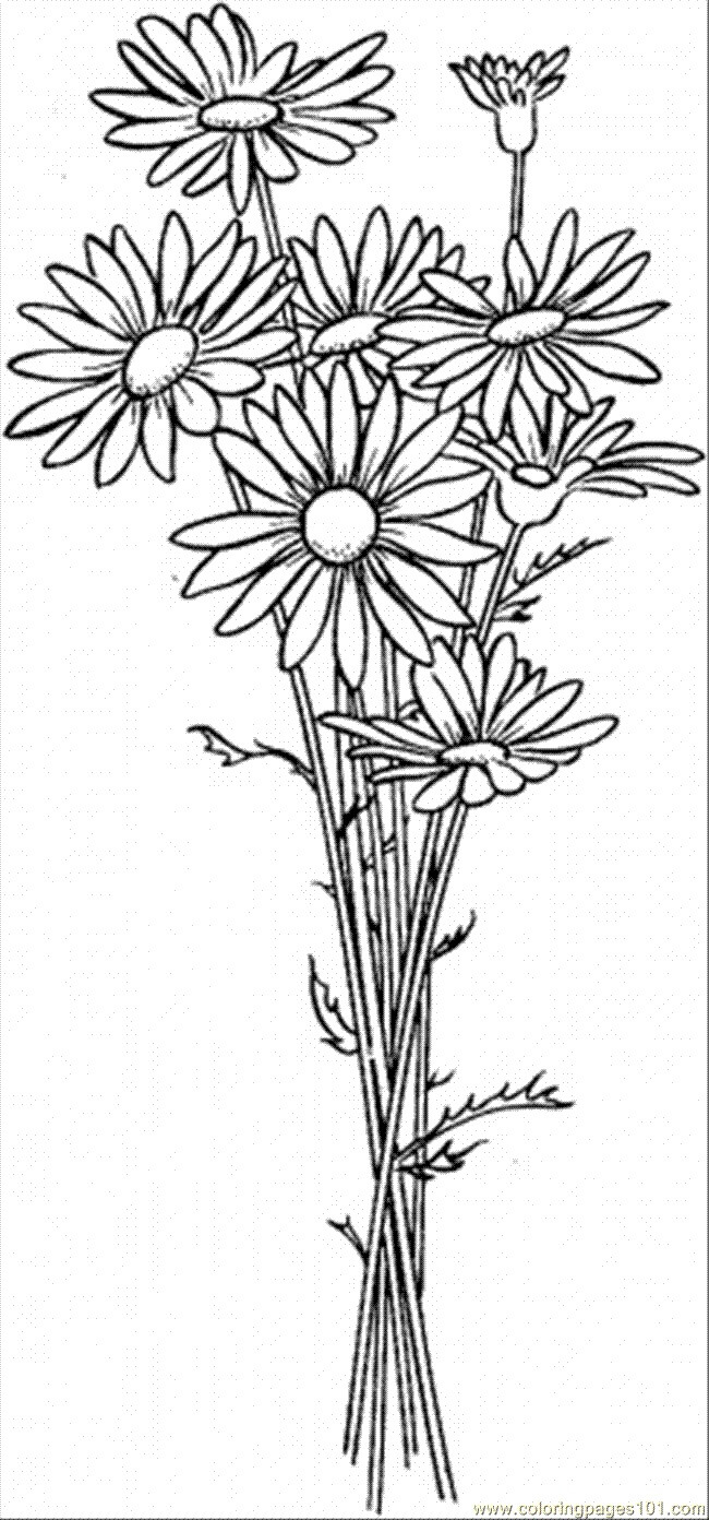 Dibujo de Seis Margaritas para Colorear y Imprimir