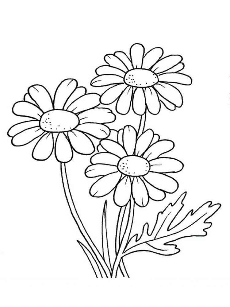 Dibujo de Tres Margaritas para Colorear y Imprimir