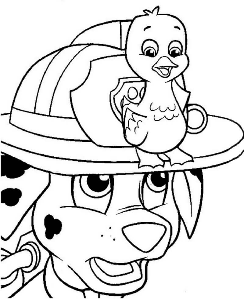 Marshall para Colorear