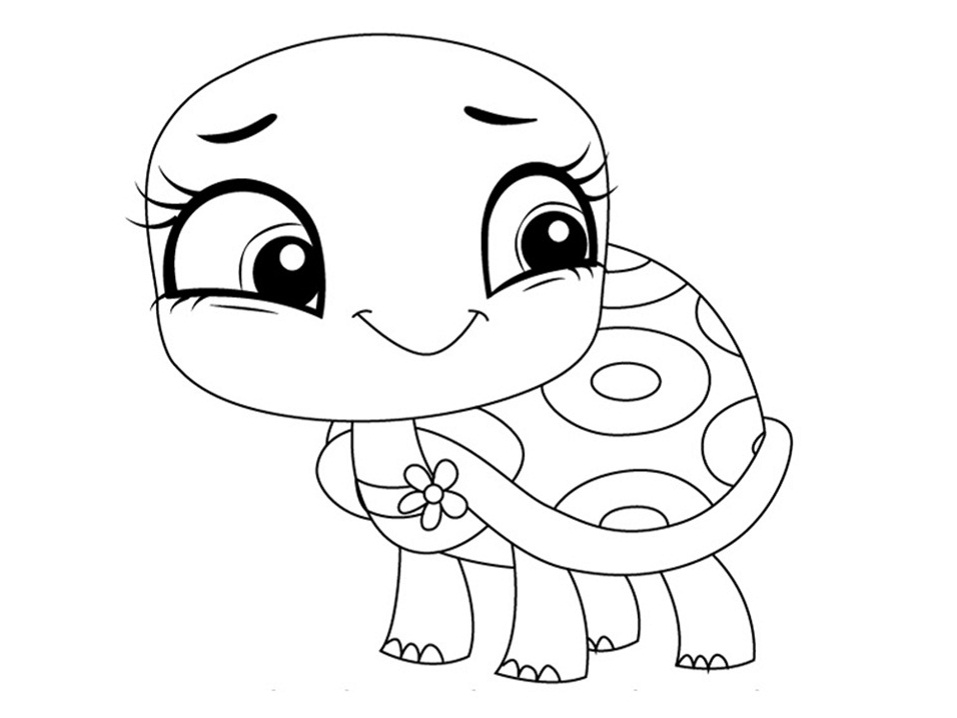Dibujo de Shellstein de Oliva para Colorear y Imprimir