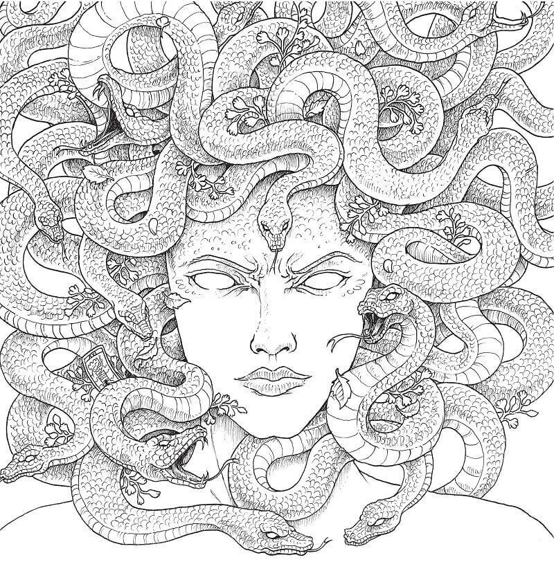 Dibujo de Cara de Medusa para Colorear y Imprimir
