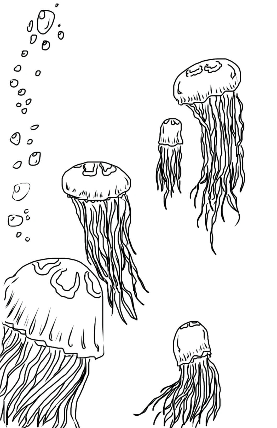 dibujo cinco medusas para imprimir y colorear