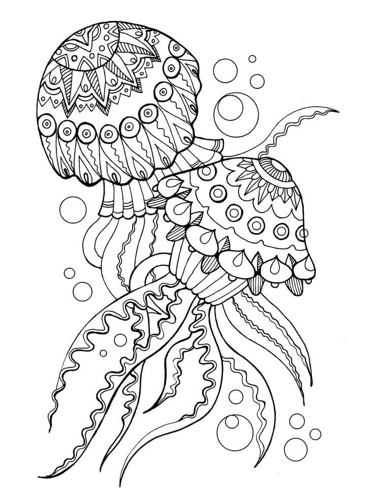 dibujo dos medusas es para adultos para imprimir y colorear