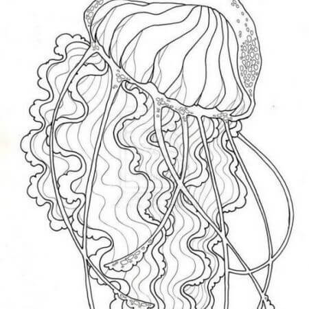 dibujo gran medusa para imprimir y colorear