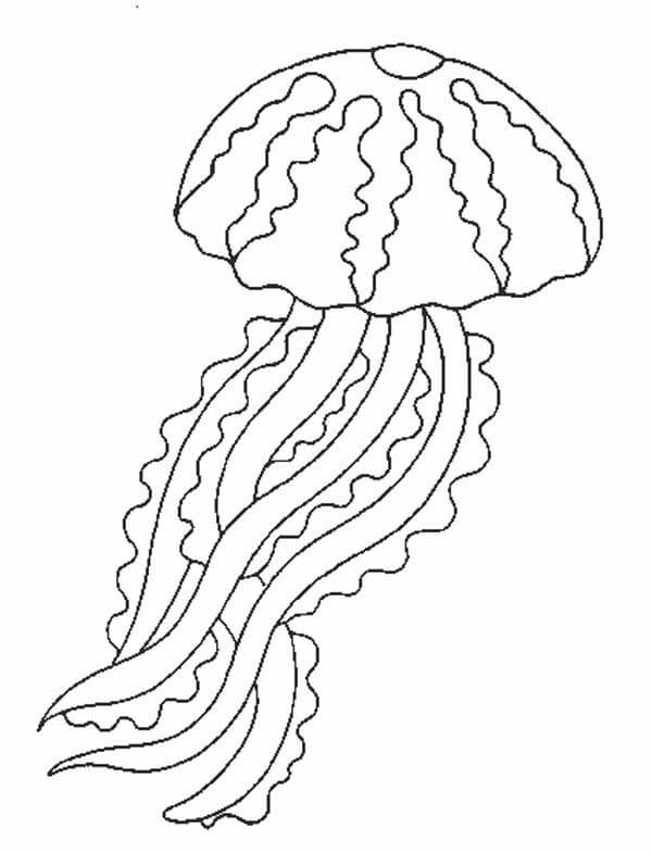 dibujo j y jellyfish para imprimir y colorear