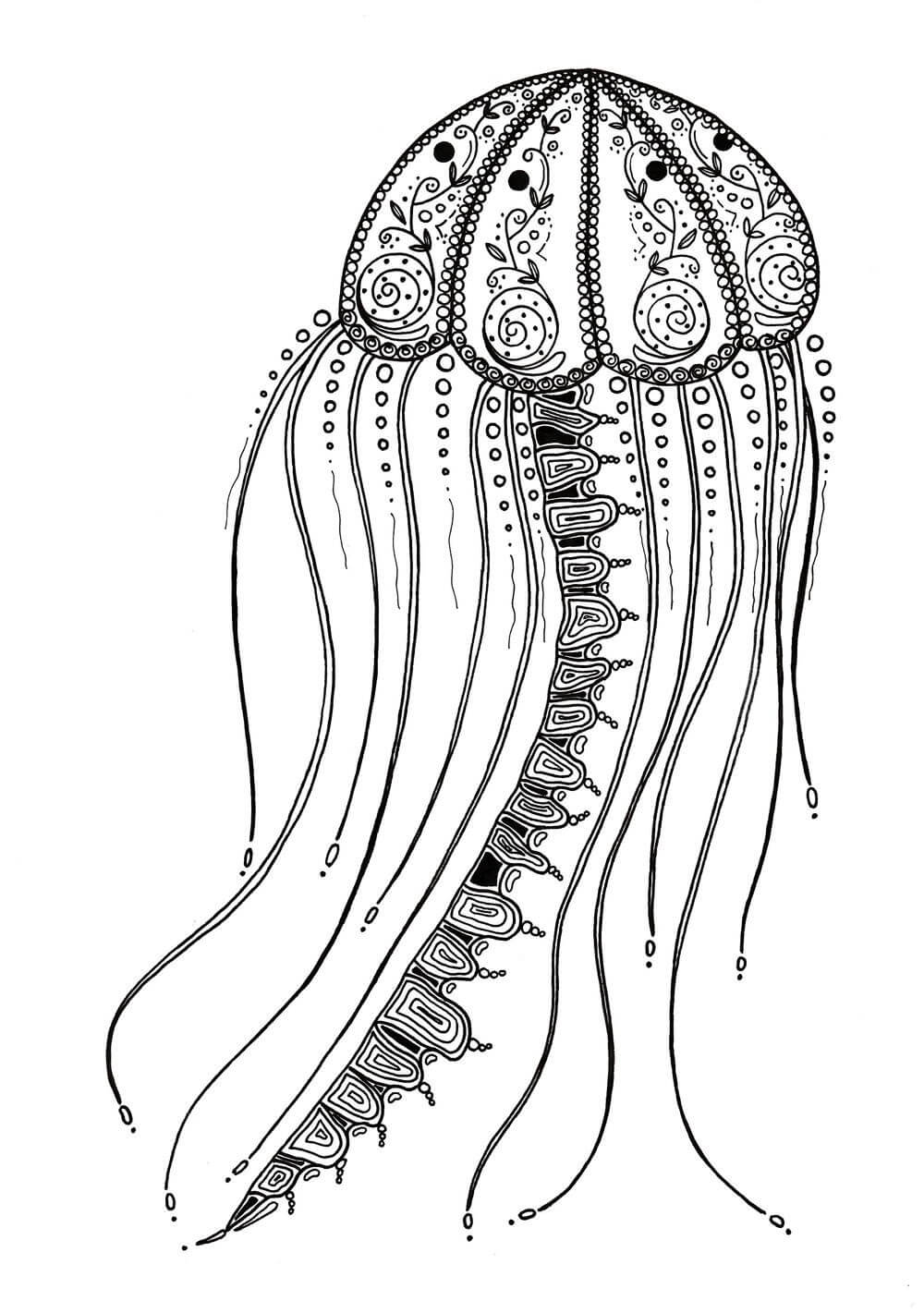 dibujo medusa delicada para adultos para imprimir y colorear