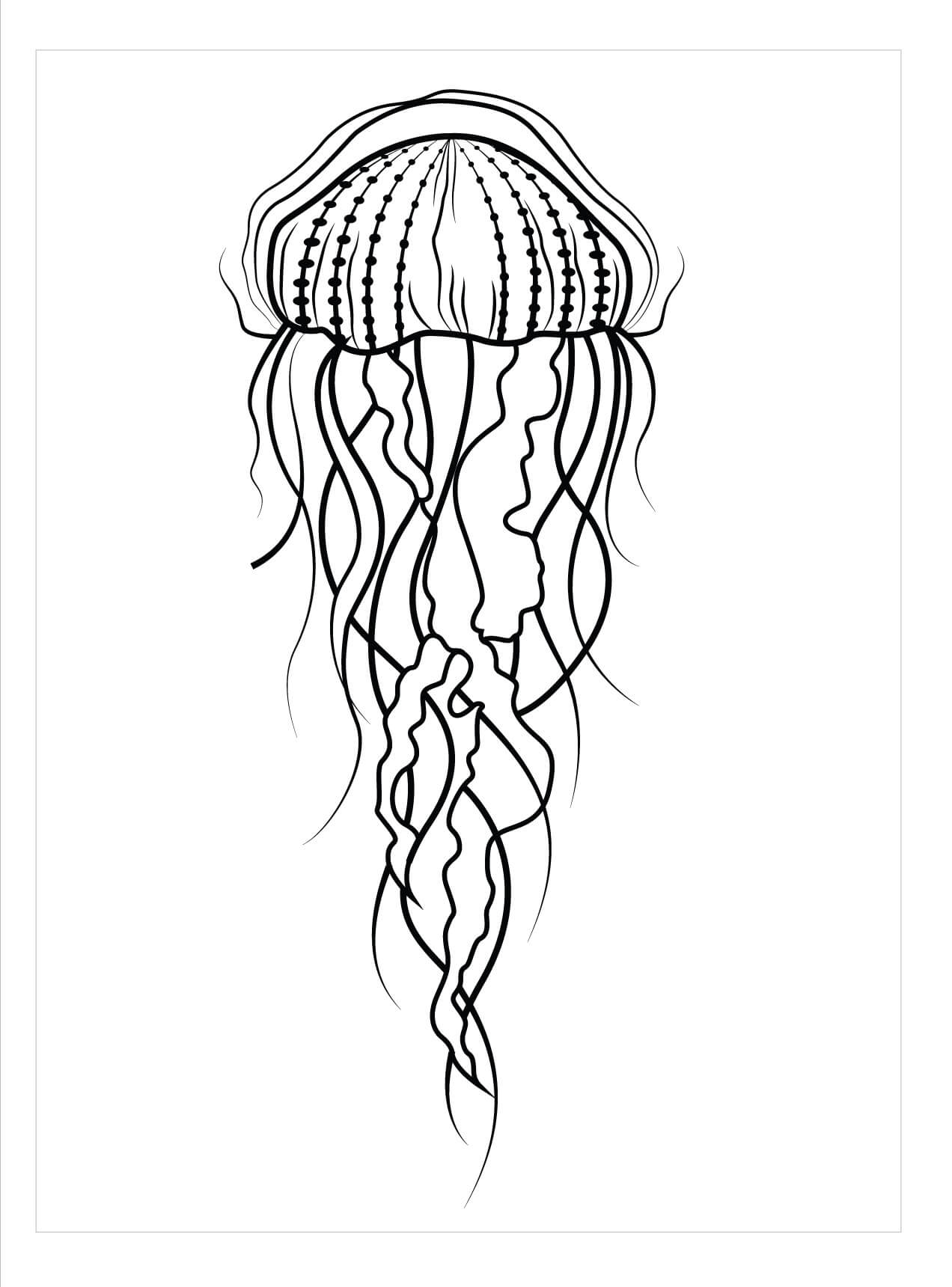 dibujo medusa luna para imprimir y colorear