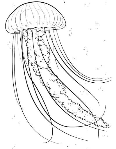 dibujo medusa perfecta para imprimir y colorear