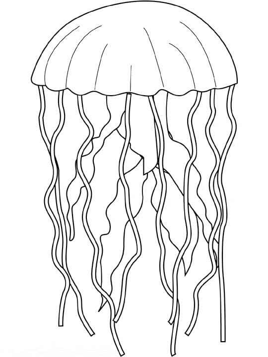 dibujo medusas impresionantes para imprimir y colorear