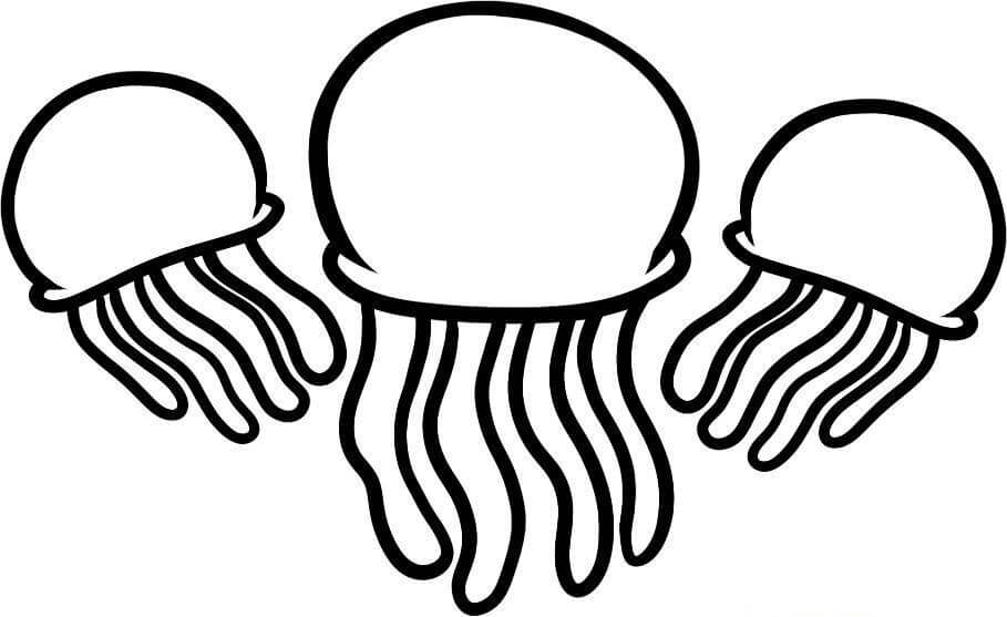 dibujo tres medusas para imprimir y colorear