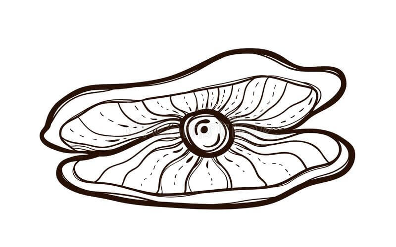 dibujos perlas de moluscos para colorear