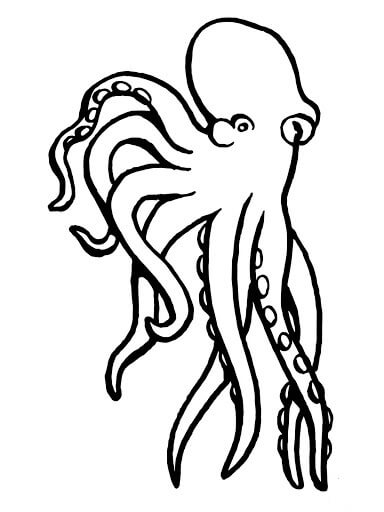 dibujos pulpo molusco para colorear