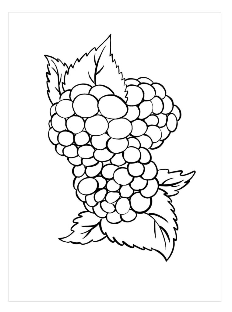 Dibujo Adorable Mora Para Colorear