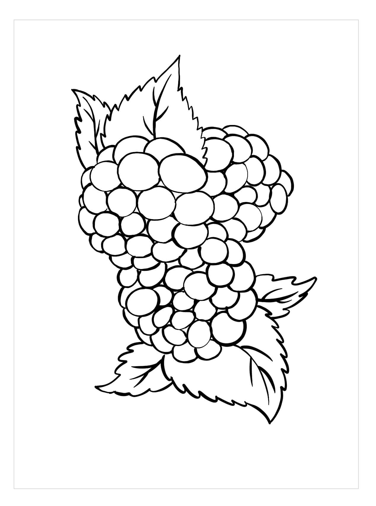dibujo adorable mora para colorear