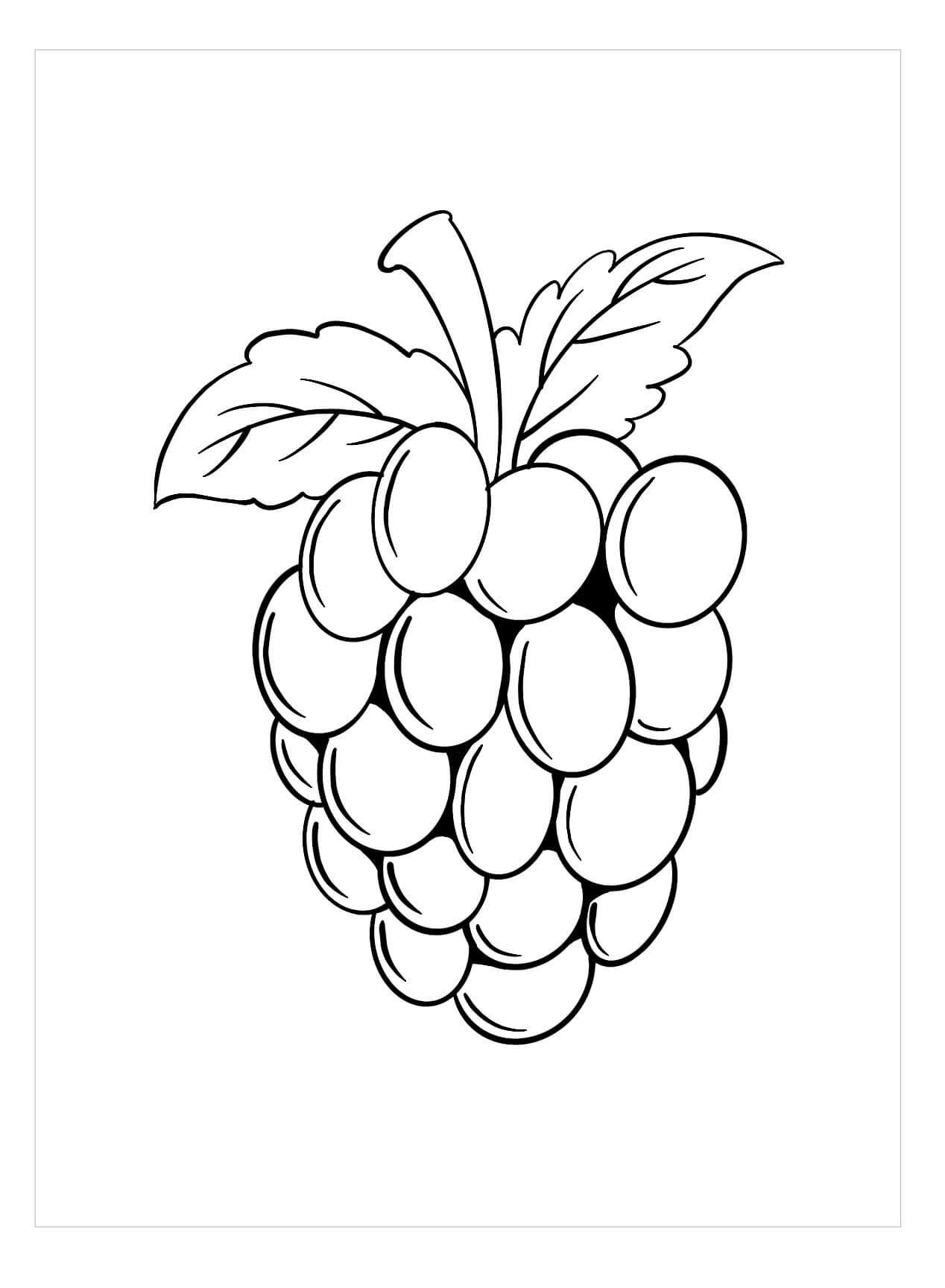 dibujo blackberry simple para colorear