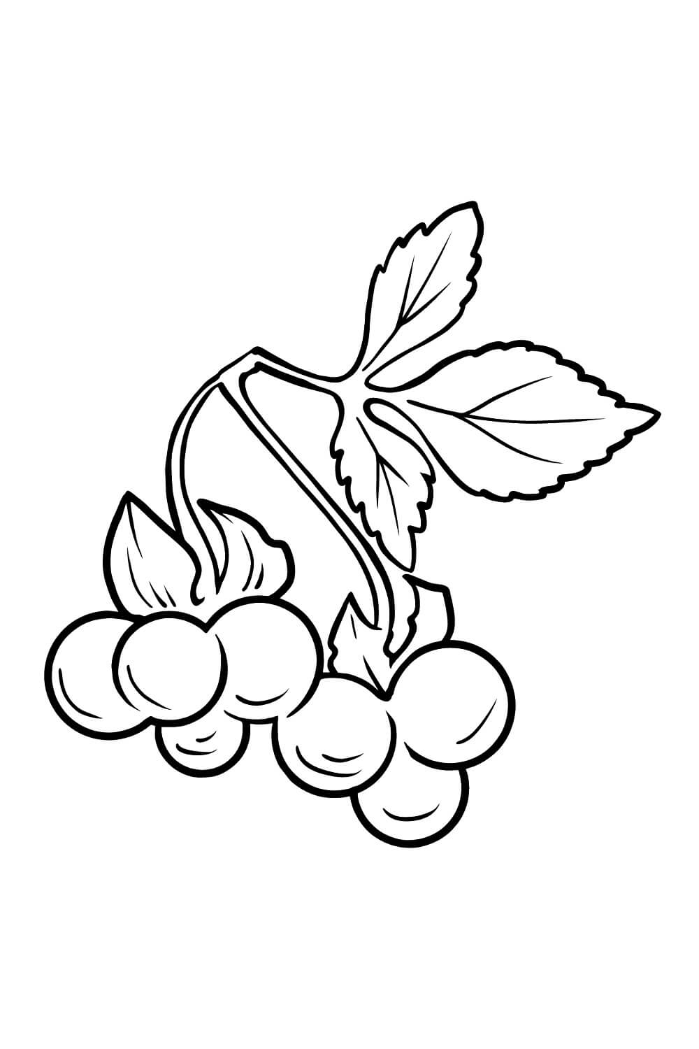 dibujo bonito mora para colorear